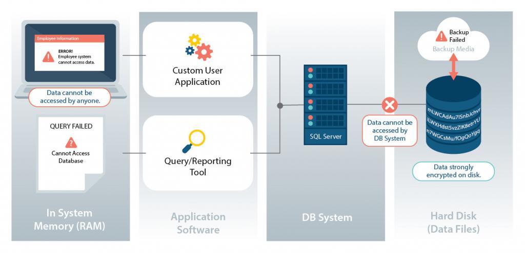 Automatic Whole Database Encryption – How It Works