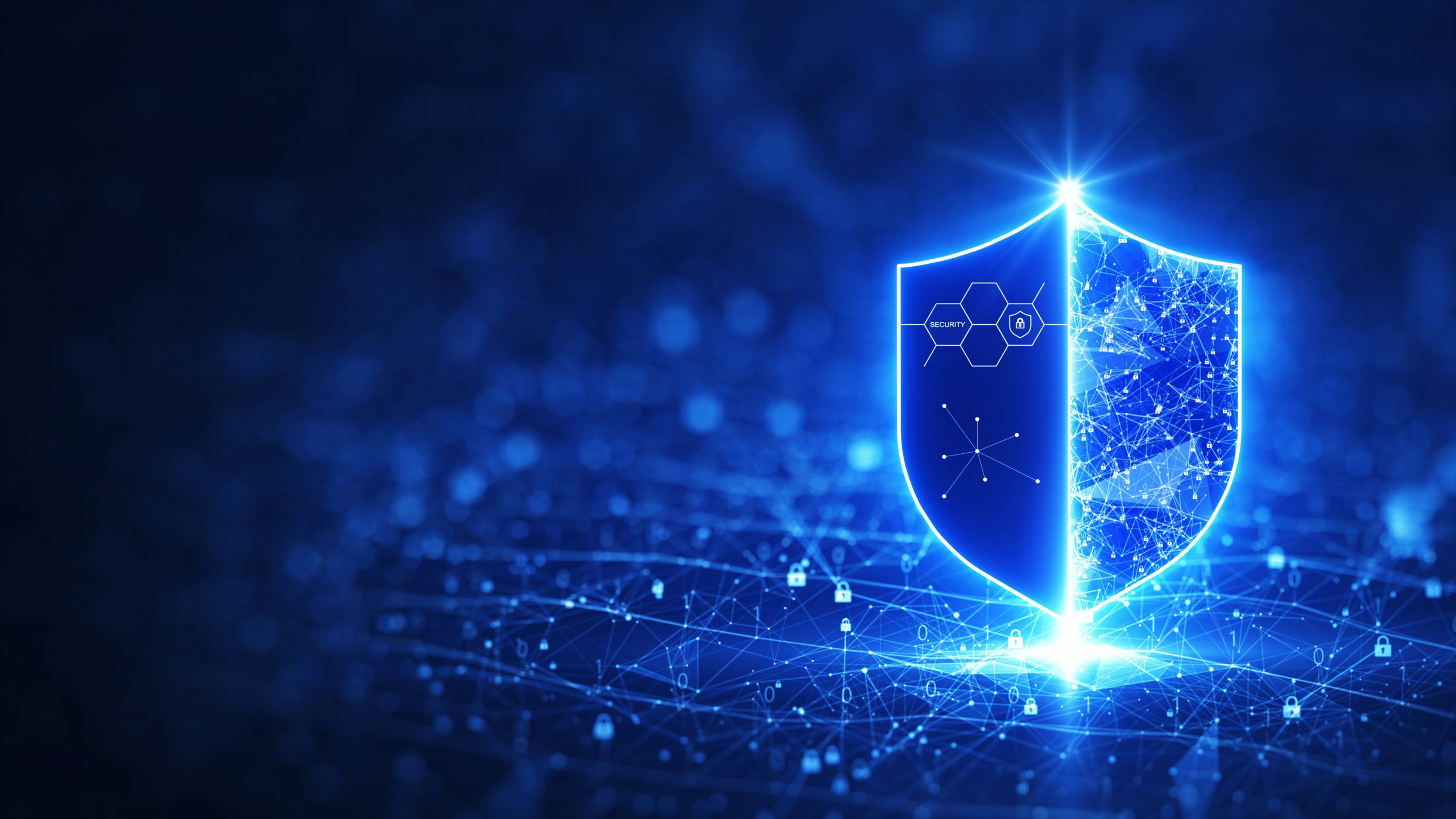 The Right Encryption Software For Developers and DBAs | Articles